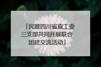 民盟四川省直工委三支部共同开展联合团建交流活动