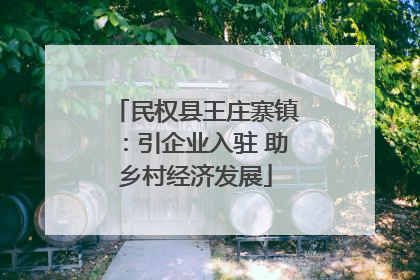 民权县王庄寨镇：引企业入驻 助乡村经济发展