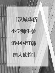 汉城华侨小学师生参访中国驻韩国大使馆