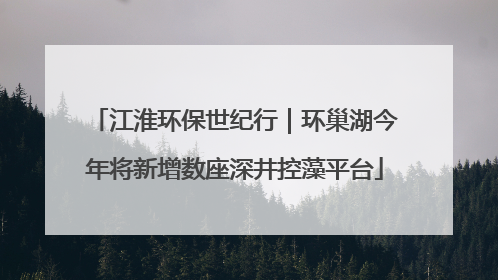 江淮环保世纪行｜环巢湖今年将新增数座深井控藻平台