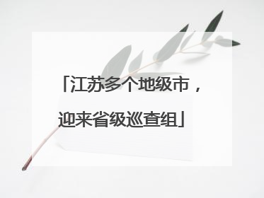 江苏多个地级市，迎来省级巡查组