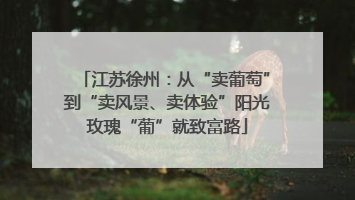 江苏徐州：从“卖葡萄”到“卖风景、卖体验”阳光玫瑰“葡”就致富路