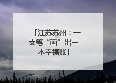 江苏苏州：一支笔“画”出三本幸福账