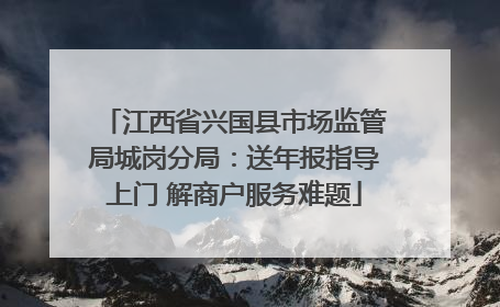 江西省兴国县市场监管局城岗分局：送年报指导上门 解商户服务难题
