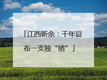 江西新余：千年夏布一支独“绣”