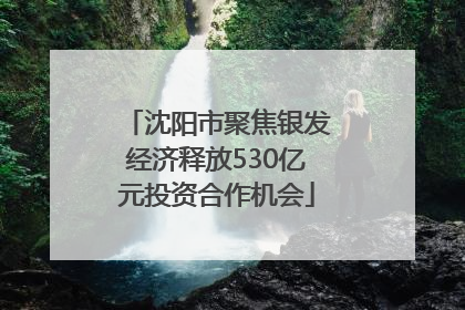 沈阳市聚焦银发经济释放530亿元投资合作机会