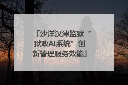 沙洋汉津监狱“狱政AI系统”创新管理服务效能