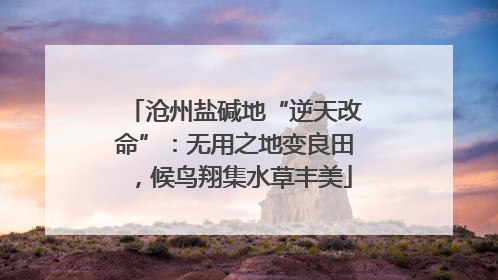 沧州盐碱地“逆天改命”：无用之地变良田，候鸟翔集水草丰美