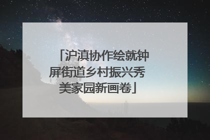 沪滇协作绘就钟屏街道乡村振兴秀美家园新画卷