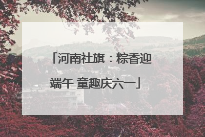 河南社旗：粽香迎端午 童趣庆六一