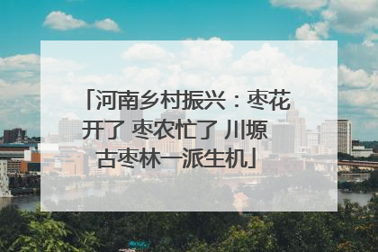 河南乡村振兴：枣花开了 枣农忙了 川塬古枣林一派生机