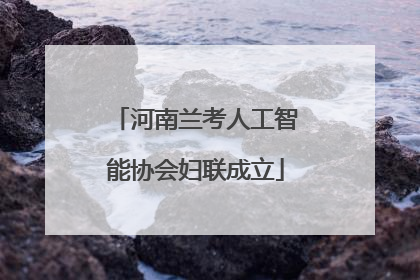 河南兰考人工智能协会妇联成立