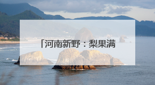 河南新野：梨果满枝头 林下土生金