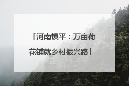 河南镇平：万亩荷花铺就乡村振兴路