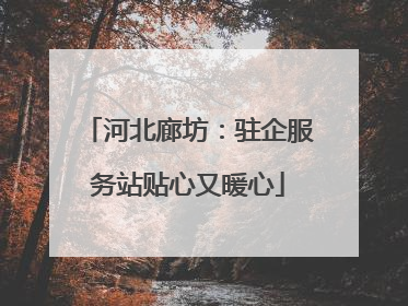 河北廊坊：驻企服务站贴心又暖心