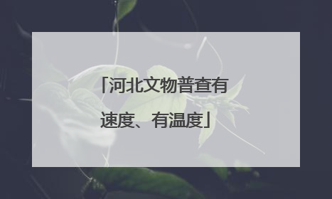 河北文物普查有速度、有温度