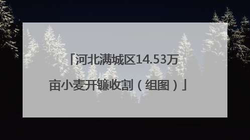 河北满城区14.53万亩小麦开镰收割（组图）