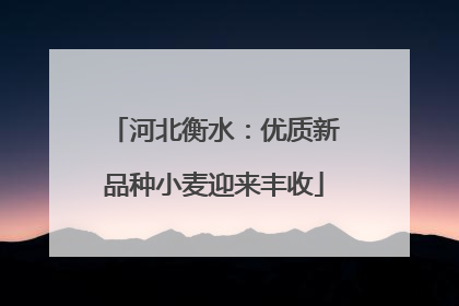 河北衡水：优质新品种小麦迎来丰收