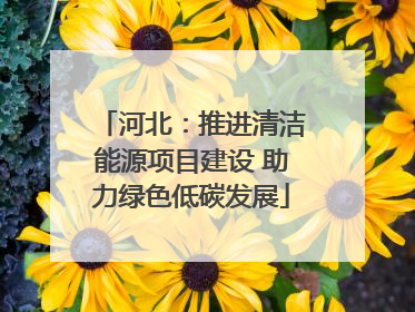 河北：推进清洁能源项目建设 助力绿色低碳发展