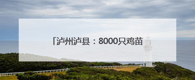 泸州泸县：8000只鸡苗免费送 乡贤助力农户增收