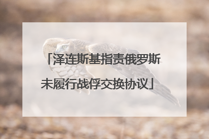泽连斯基指责俄罗斯未履行战俘交换协议