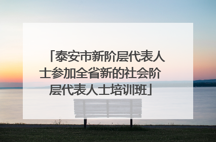 泰安市新阶层代表人士参加全省新的社会阶层代表人士培训班