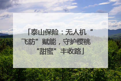 泰山保险：无人机“飞防”赋能，守护樱桃“甜蜜”丰收路