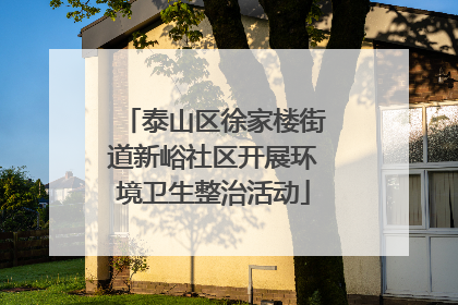 泰山区徐家楼街道新峪社区开展环境卫生整治活动