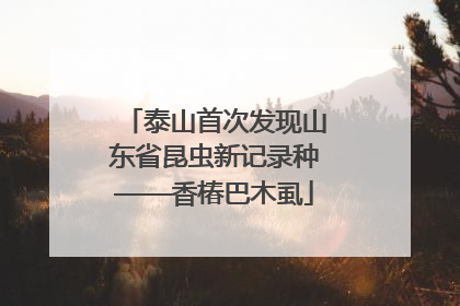 泰山首次发现山东省昆虫新记录种——香椿巴木虱