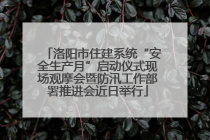 洛阳市住建系统“安全生产月”启动仪式现场观摩会暨防汛工作部署推进会近日举行