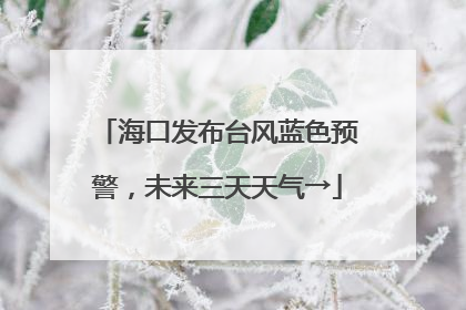 海口发布台风蓝色预警，未来三天天气→