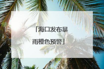 海口发布暴雨橙色预警