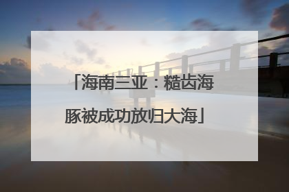 海南三亚：糙齿海豚被成功放归大海