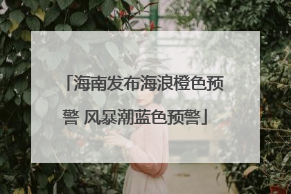海南发布海浪橙色预警 风暴潮蓝色预警
