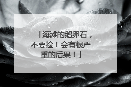 海滩的鹅卵石，不要捡！会有很严重的后果！