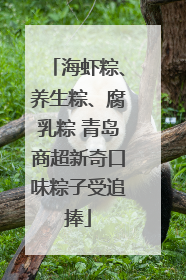 海虾粽、养生粽、腐乳粽 青岛商超新奇口味粽子受追捧