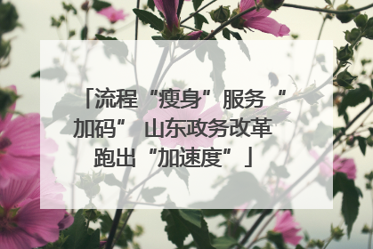 流程“瘦身”服务“加码” 山东政务改革跑出“加速度”
