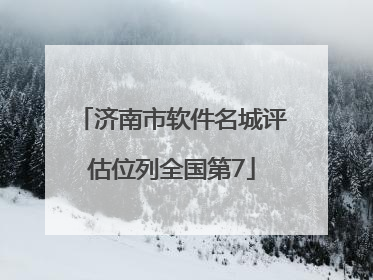 济南市软件名城评估位列全国第7