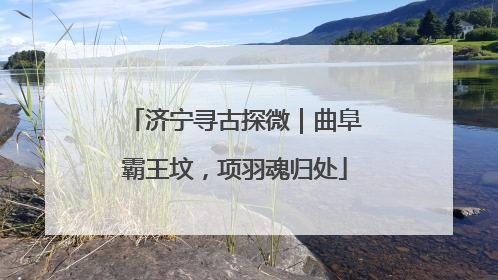 济宁寻古探微｜曲阜霸王坟，项羽魂归处