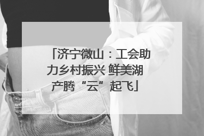 济宁微山：工会助力乡村振兴 鲜美湖产腾“云”起飞