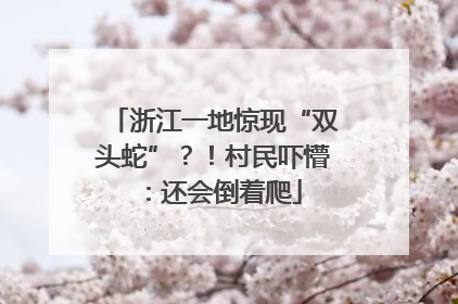 浙江一地惊现“双头蛇”？！村民吓懵：还会倒着爬