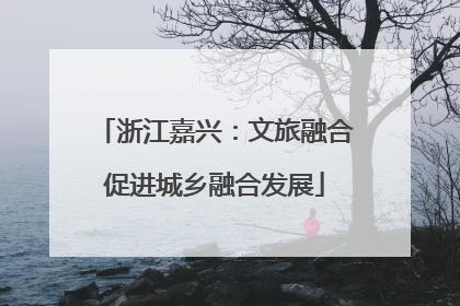 浙江嘉兴：文旅融合促进城乡融合发展