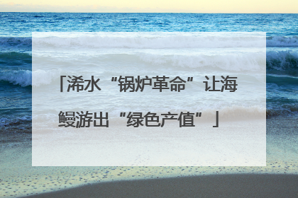 浠水“锅炉革命”让海鳗游出“绿色产值”