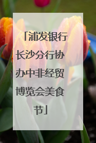 浦发银行长沙分行协办中非经贸博览会美食节