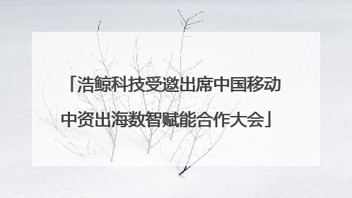 浩鲸科技受邀出席中国移动中资出海数智赋能合作大会