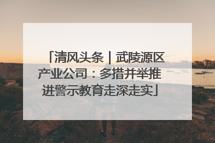 清风头条｜武陵源区产业公司：多措并举推进警示教育走深走实