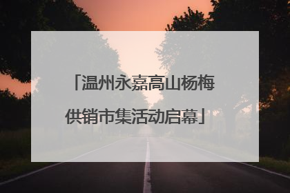 温州永嘉高山杨梅供销市集活动启幕