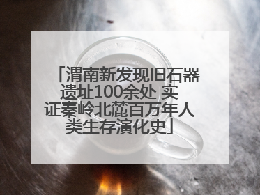 渭南新发现旧石器遗址100余处 实证秦岭北麓百万年人类生存演化史