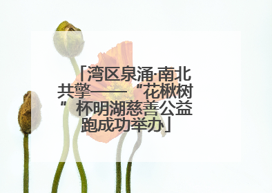 湾区泉涌·南北共擎——“花楸树”杯明湖慈善公益跑成功举办