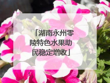 湖南永州零陵特色水果助民稳定增收